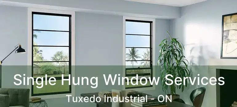 Single Hung Window Services Tuxedo Industrial - ON