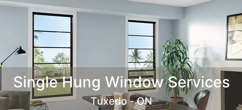  Single Hung Window Services Tuxedo - ON