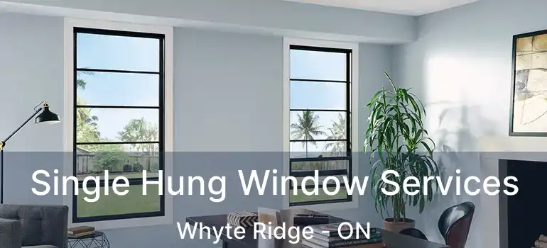  Single Hung Window Services Whyte Ridge - ON