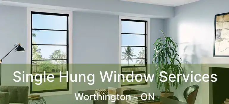  Single Hung Window Services Worthington - ON