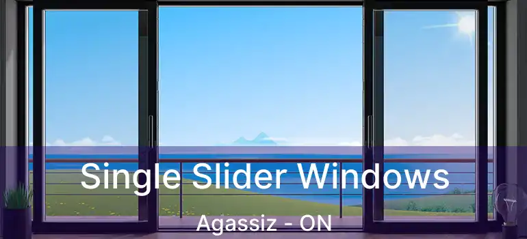  Single Slider Windows Agassiz - ON