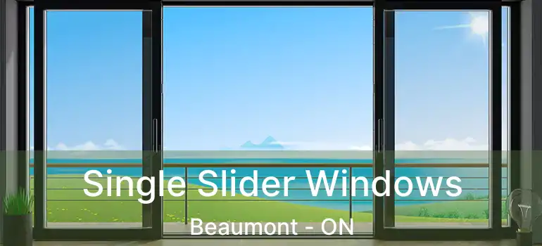  Single Slider Windows Beaumont - ON