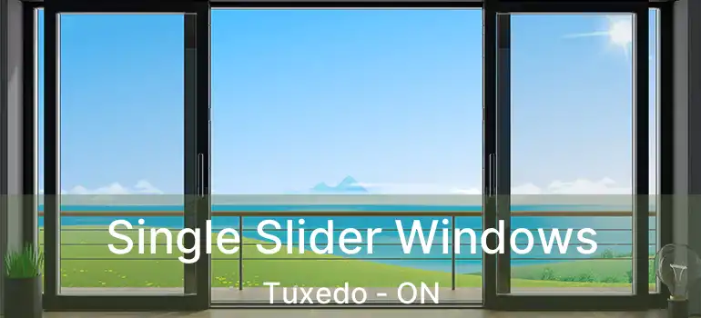  Single Slider Windows Tuxedo - ON