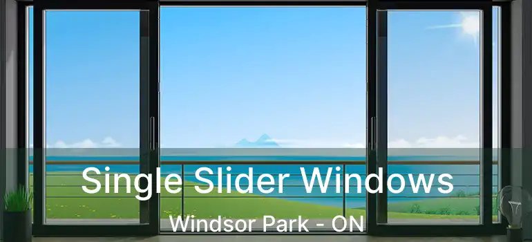 Single Slider Windows Windsor Park - ON