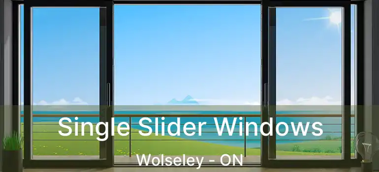  Single Slider Windows Wolseley - ON