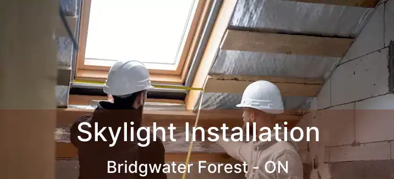  Skylight Installation Bridgwater Forest - ON