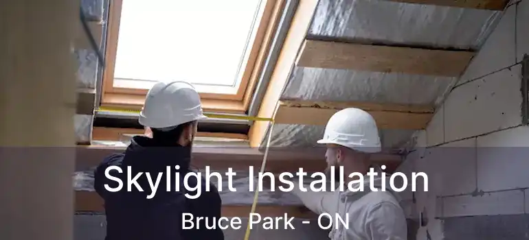  Skylight Installation Bruce Park - ON