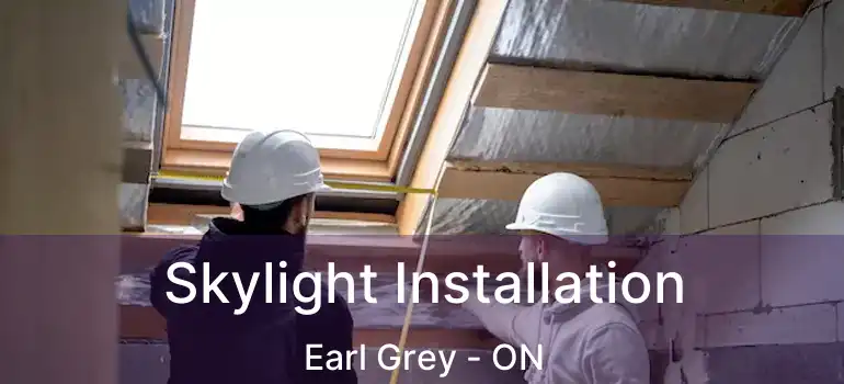 Skylight Installation Earl Grey - ON
