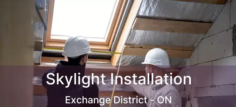  Skylight Installation Exchange District - ON