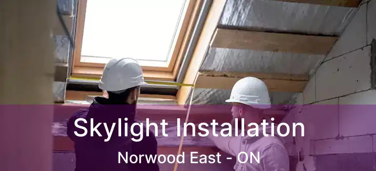  Skylight Installation Norwood East - ON