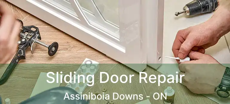  Sliding Door Repair Assiniboia Downs - ON
