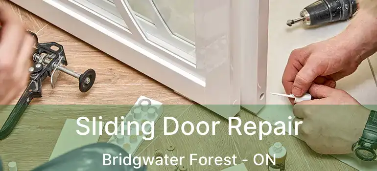  Sliding Door Repair Bridgwater Forest - ON