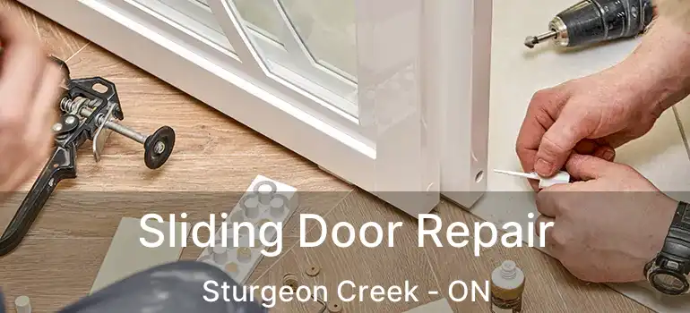  Sliding Door Repair Sturgeon Creek - ON