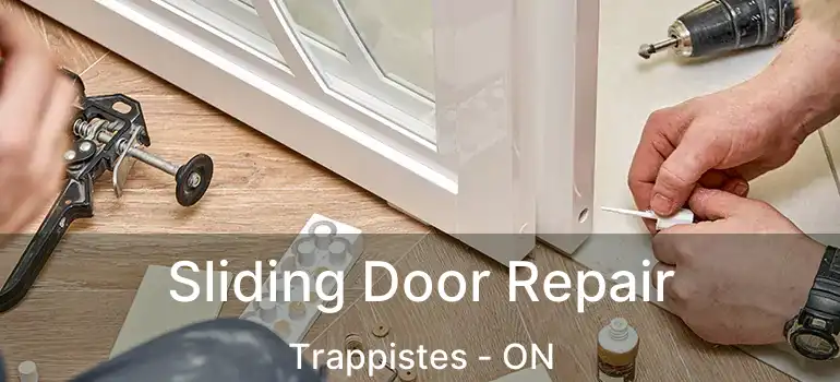  Sliding Door Repair Trappistes - ON
