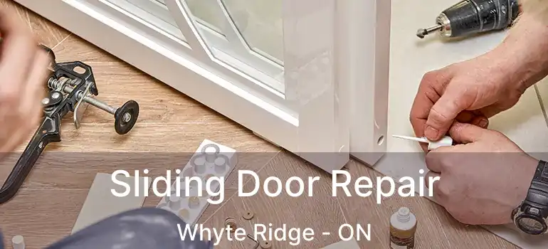  Sliding Door Repair Whyte Ridge - ON