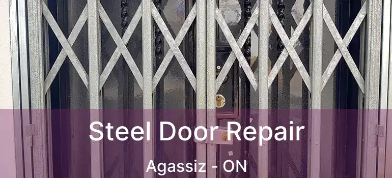  Steel Door Repair Agassiz - ON