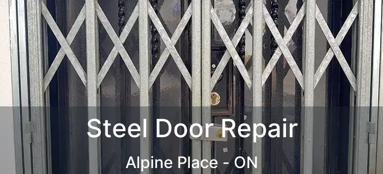  Steel Door Repair Alpine Place - ON