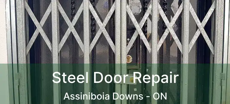  Steel Door Repair Assiniboia Downs - ON