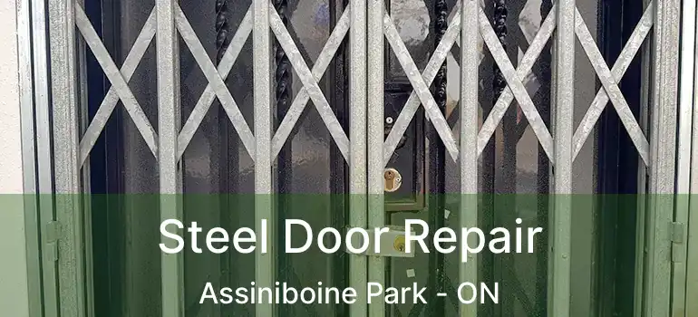  Steel Door Repair Assiniboine Park - ON