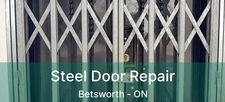 Steel Door Repair Betsworth - ON