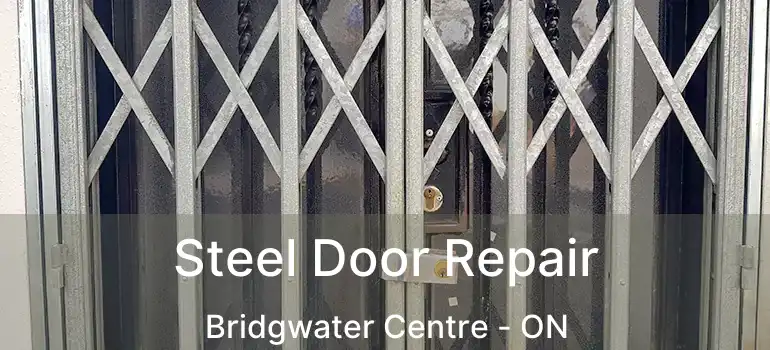  Steel Door Repair Bridgwater Centre - ON