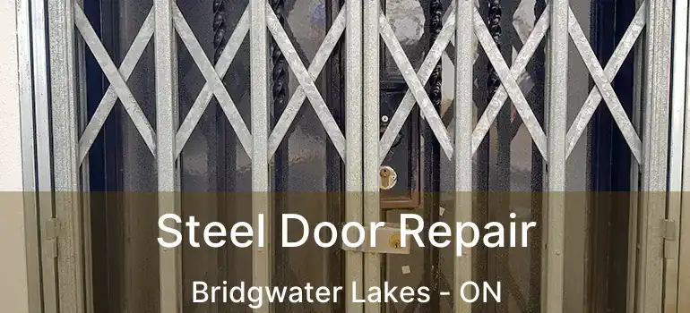  Steel Door Repair Bridgwater Lakes - ON
