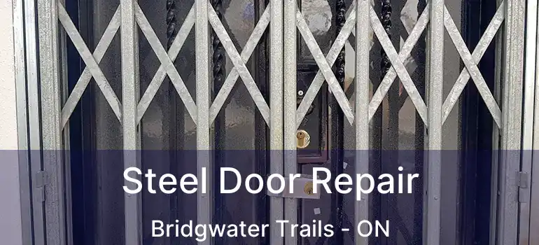  Steel Door Repair Bridgwater Trails - ON