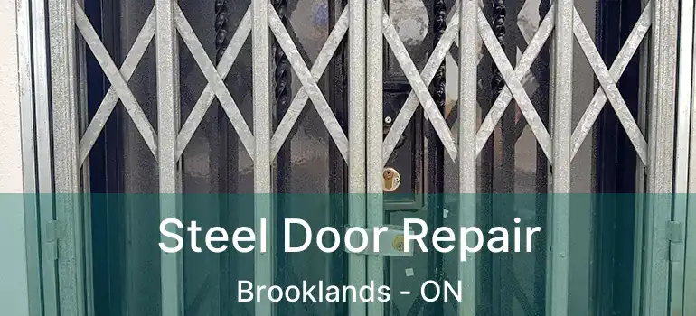  Steel Door Repair Brooklands - ON