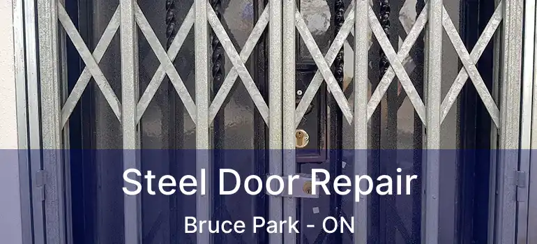  Steel Door Repair Bruce Park - ON