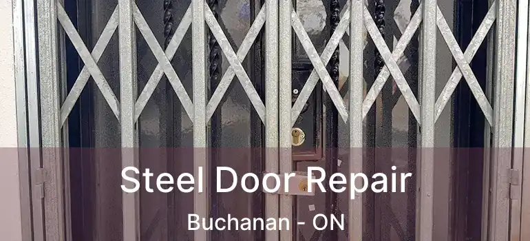  Steel Door Repair Buchanan - ON