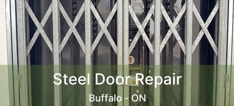  Steel Door Repair Buffalo - ON