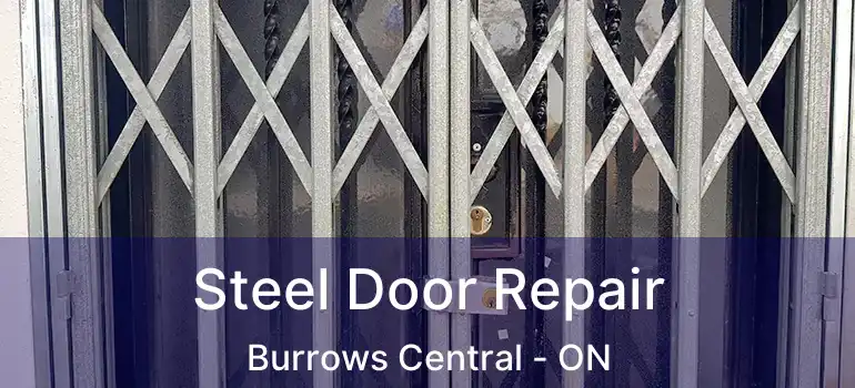  Steel Door Repair Burrows Central - ON