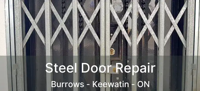  Steel Door Repair Burrows - Keewatin - ON