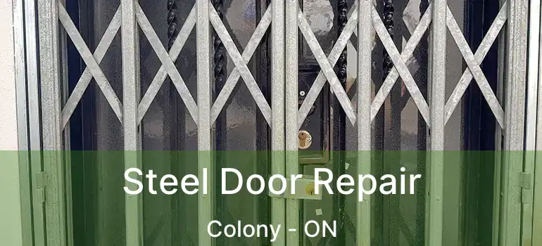  Steel Door Repair Colony - ON