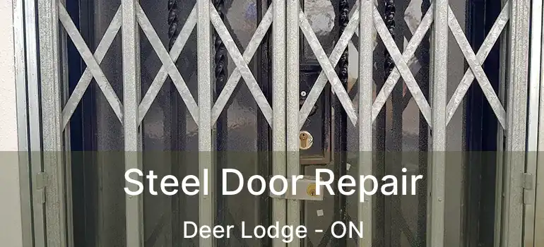  Steel Door Repair Deer Lodge - ON