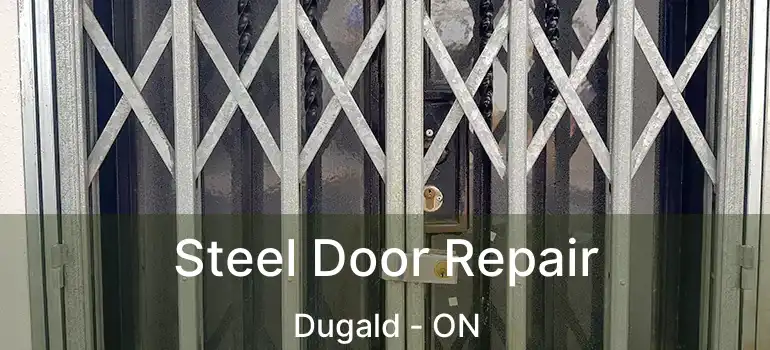  Steel Door Repair Dugald - ON