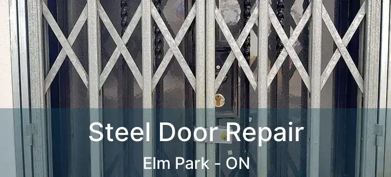  Steel Door Repair Elm Park - ON