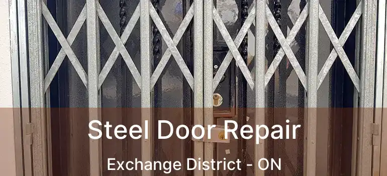  Steel Door Repair Exchange District - ON