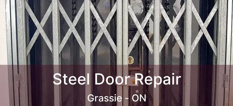  Steel Door Repair Grassie - ON