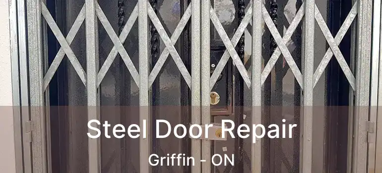  Steel Door Repair Griffin - ON