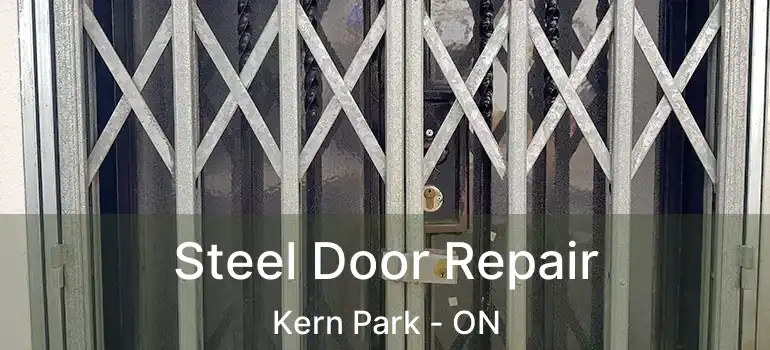  Steel Door Repair Kern Park - ON