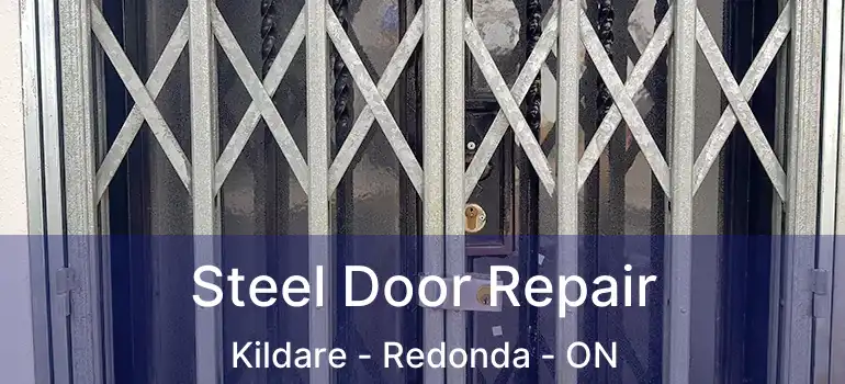  Steel Door Repair Kildare - Redonda - ON