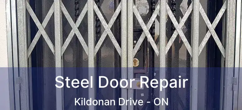  Steel Door Repair Kildonan Drive - ON