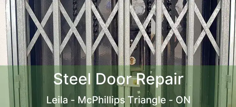  Steel Door Repair Leila - McPhillips Triangle - ON