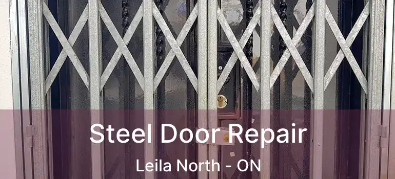  Steel Door Repair Leila North - ON
