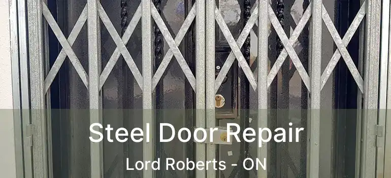  Steel Door Repair Lord Roberts - ON