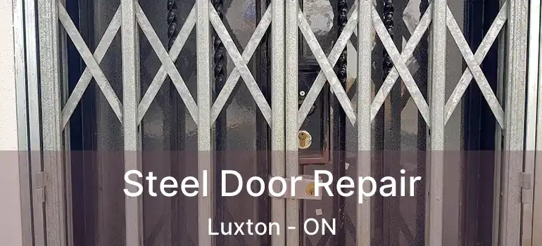  Steel Door Repair Luxton - ON