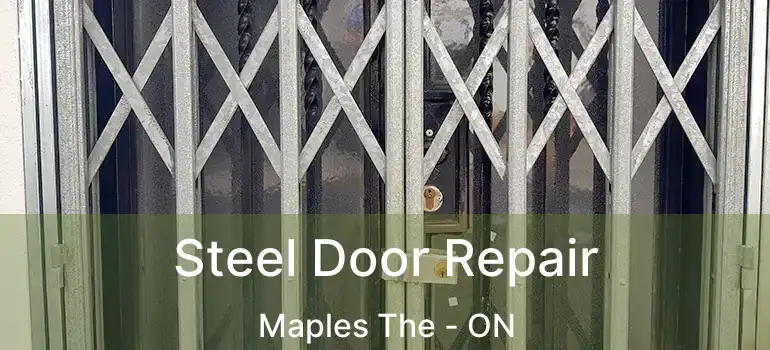  Steel Door Repair Maples The - ON