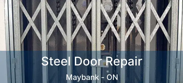  Steel Door Repair Maybank - ON