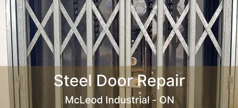  Steel Door Repair McLeod Industrial - ON